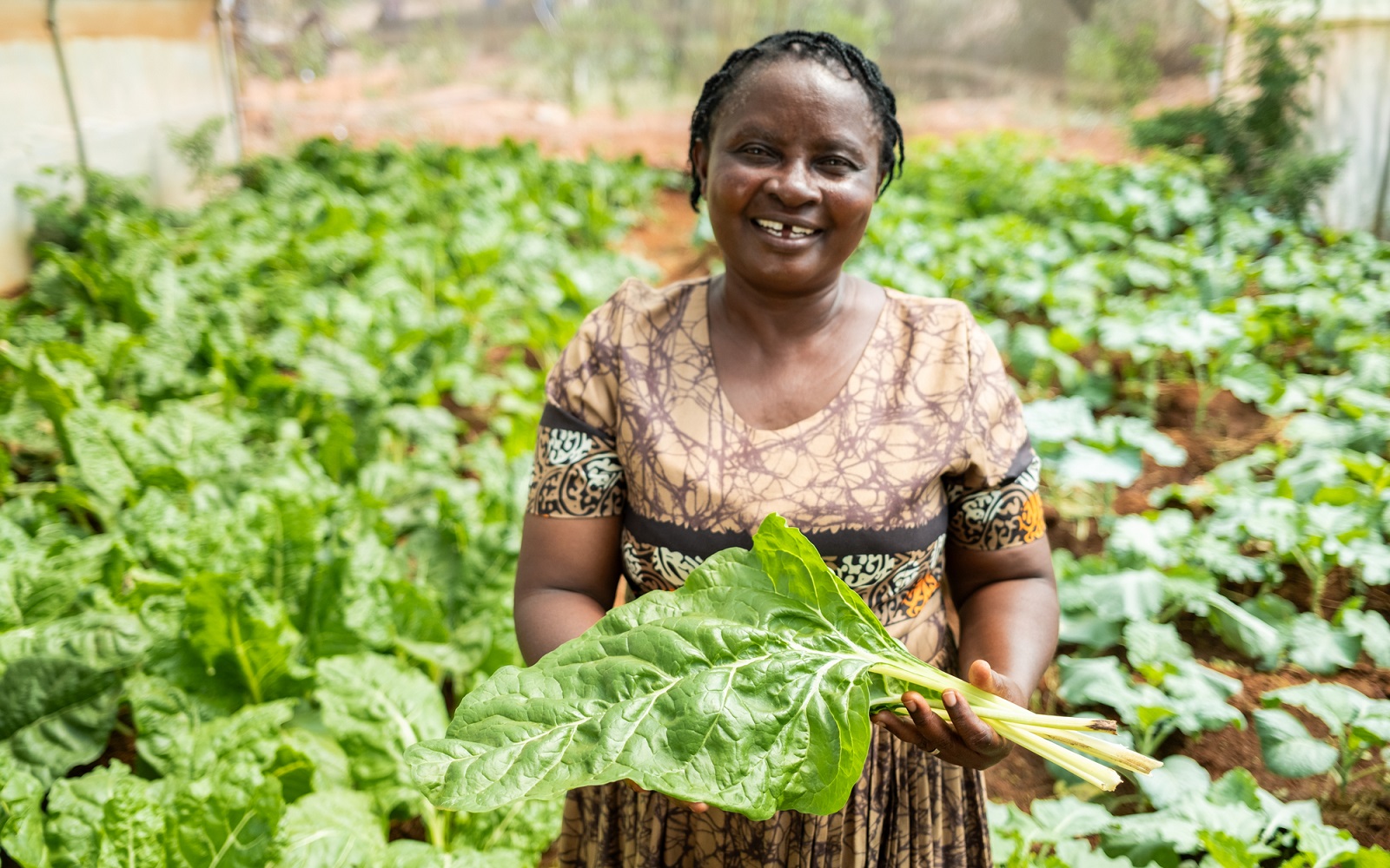 Phoebe Mwangangi, a farmer, at her farm in Wote, Makueni County, Kenya, on March 15, 2025. Makueni County has implemented E-MOTIVE (Early Detection and Treatment of Postpartum Hemorrhage), which is focused on reducing maternal deaths from postpartum hemorrhage (PPH), a major cause of maternal mortality.