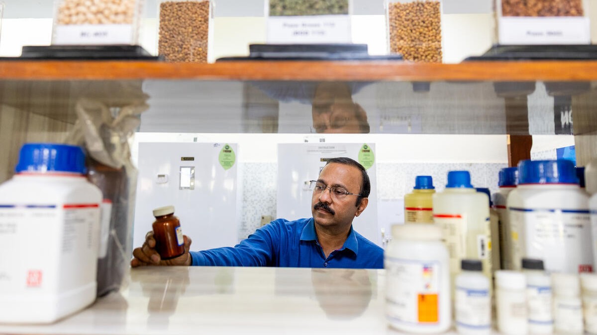 Researcher reviewing samples in a laboratory setting